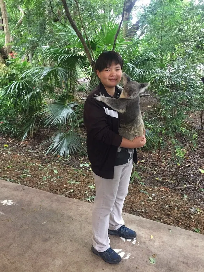 龍柏抱無尾熊，其實這個地點在布里斯本