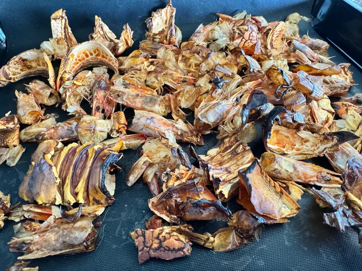 將剝好的蝦殼進烤箱烤至酥脆生香