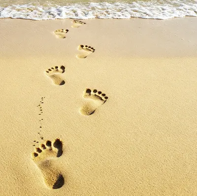 《淑麗爸的足跡》