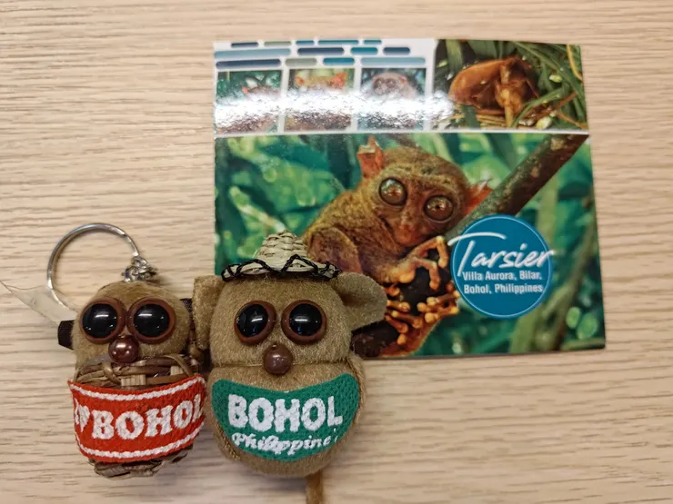 眼鏡猴這麼可愛怎麼捨得不帶牠們回家呢？