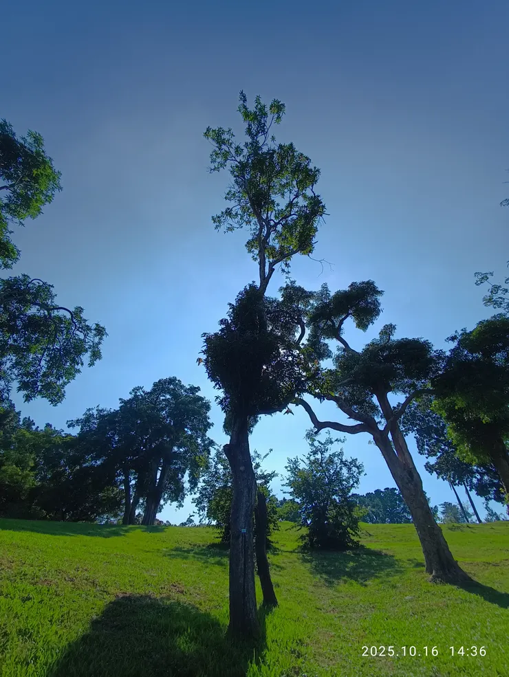 周遊雲去橫空碧