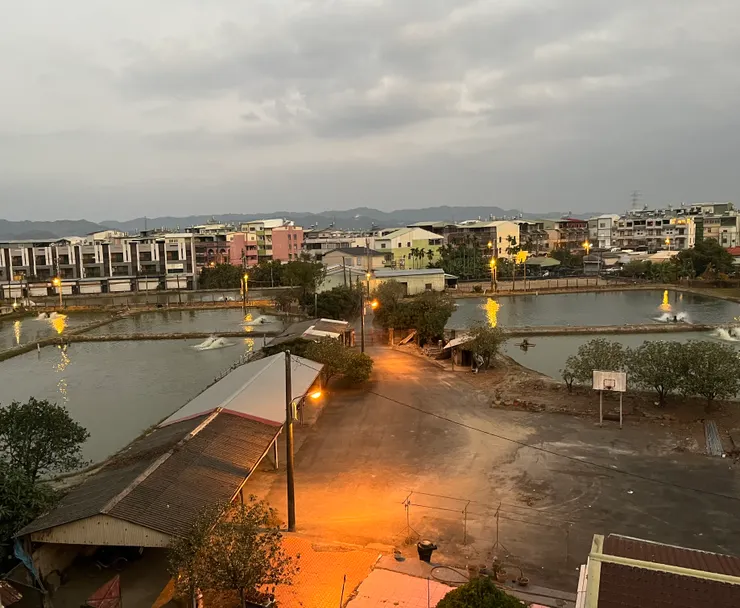 清晨的光，還沒完全醒來