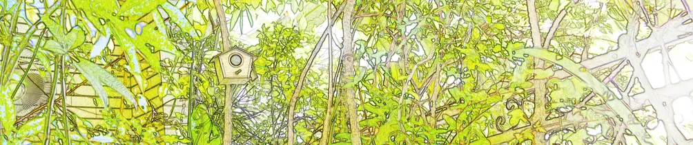 陽台觀察者的沙龍