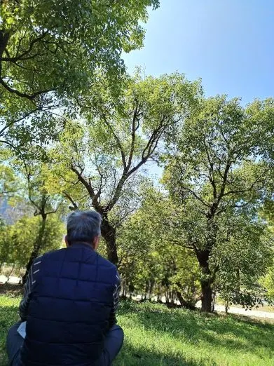 爸爸的背影/攝於2024年‧冬