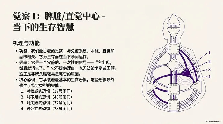圖源：Google NotebookLM