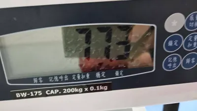 【魚尾ㄟ減肥記錄】2025/4/2 (第九次治療前評估)