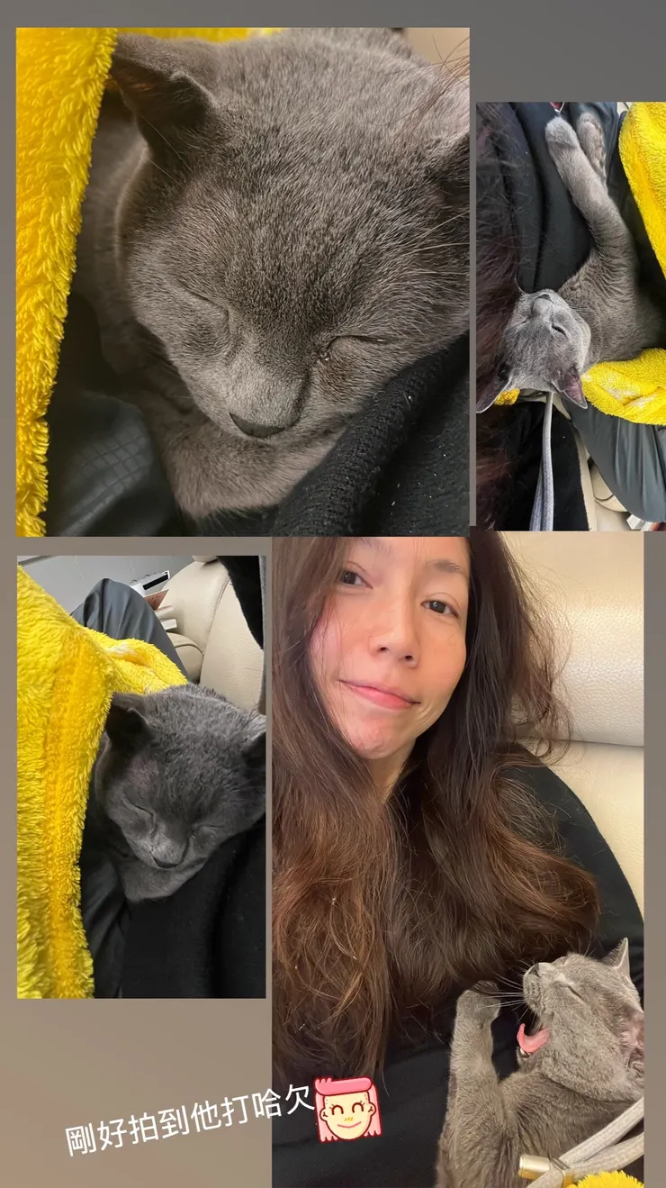 圖文不符的：體感3度,終於是昨天的3倍了