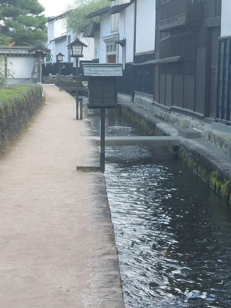 走到中段的瀨戶川和白壁土藏街，中間佇立的木箱就是買魚飼料的地方
