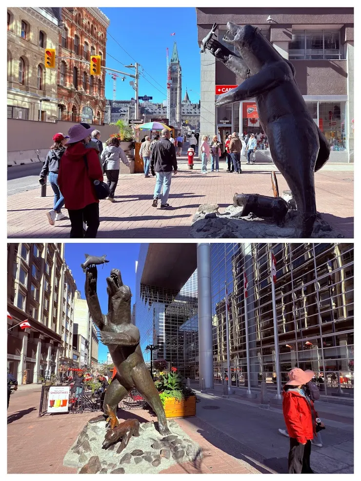 熊代表力量與守護，鮭魚代表生命與犧牲。自然秩序與生命依存是加拿大尊崇的理念。