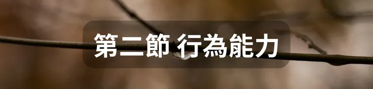 第二節 行為能力