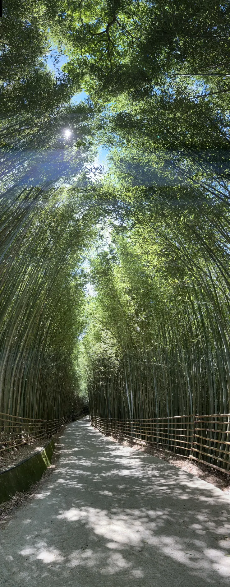 最後改用全景拍攝，是我最喜歡的一張照片