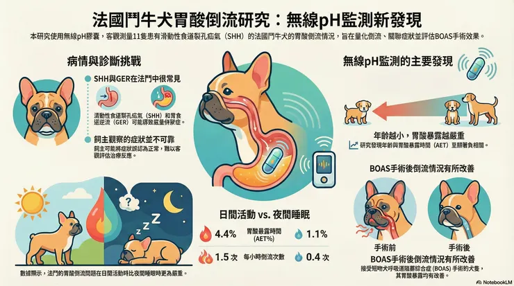 由 Notebook LM 生成