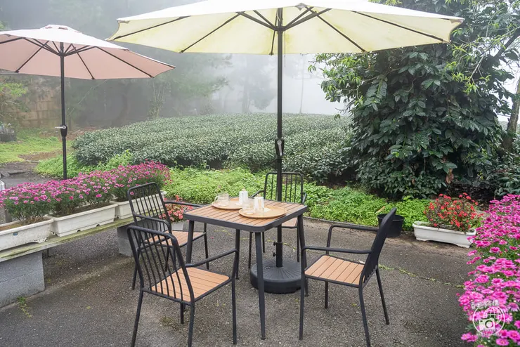 100%咖啡莊園,100咖啡莊園,100%咖啡,100%咖啡館,阿里山咖啡廳,瑞里咖啡廳,阿里山手沖咖啡,阿里山咖啡,阿里山咖啡豆,阿里山高山茶,阿里山咖啡館,阿里山,嘉義,瑞里,瑞里咖啡,瑞里咖啡館,瑞里景點,瑞里美食,阿里山美食,阿里山景點