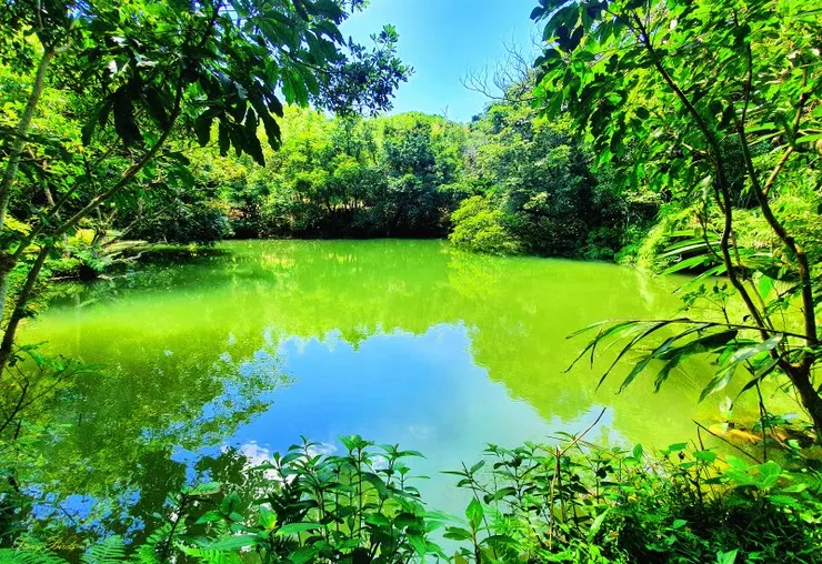 楊廷理古道雞母嶺段附近美麗的埤塘(由於此處旱季雨季分明,先民為了避免旱季時無水可用,都會在山谷間築壩或挖掘埤塘蓄水)