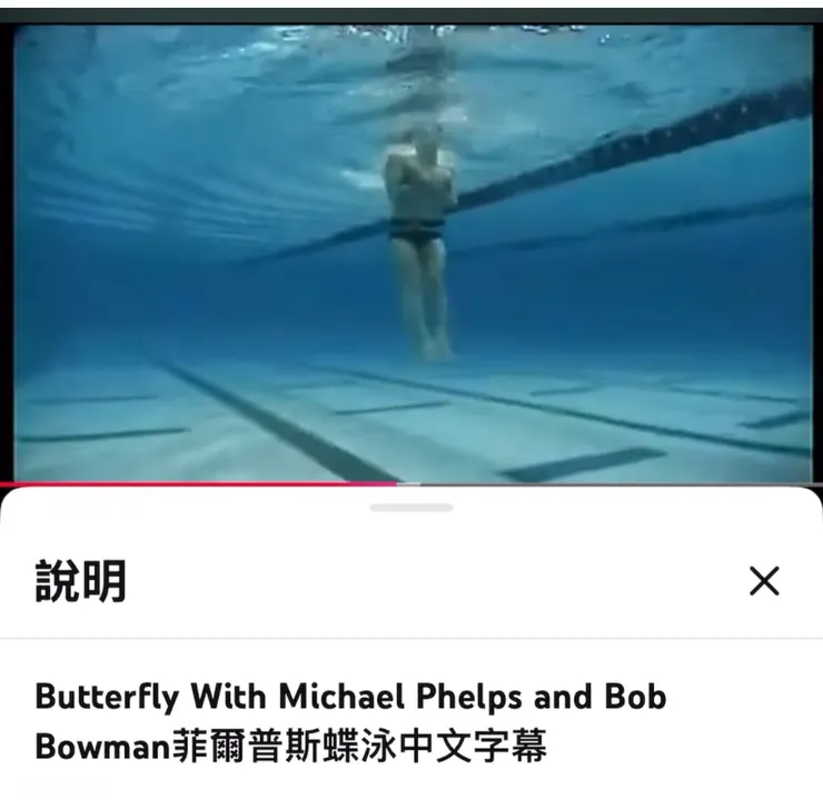 教練…你綁鉛片在菲爾的腰上，學海豚直立前進幹嘛？