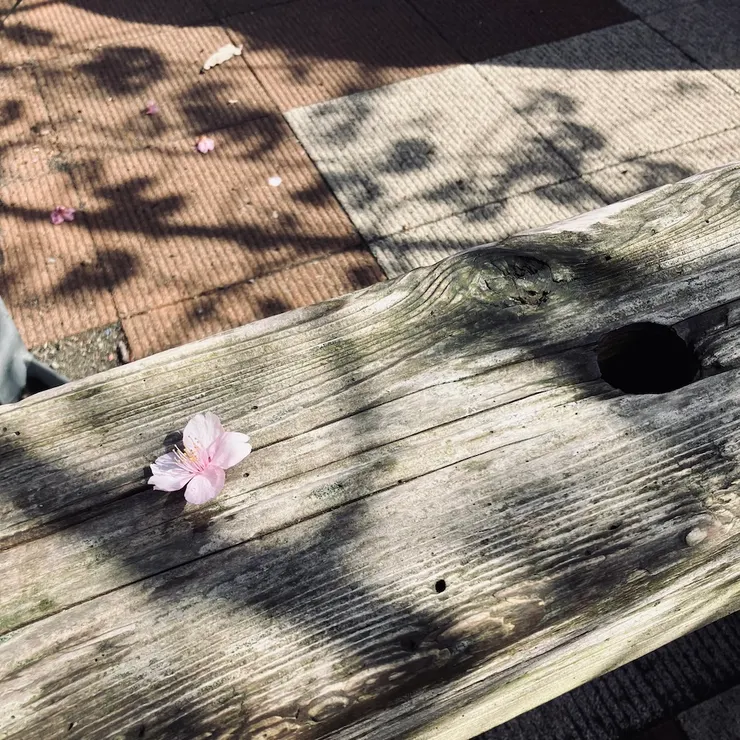 負責縮圖部分的圖文不符。(拍攝:我)