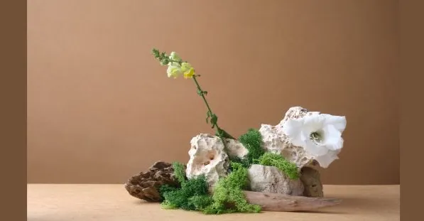 海達夫人的衣帽間
