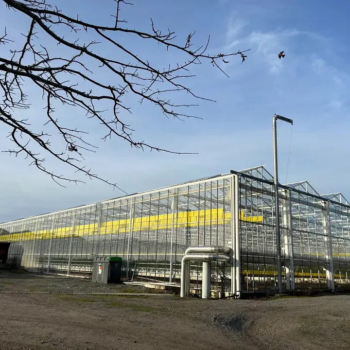 離開前的最後一幕