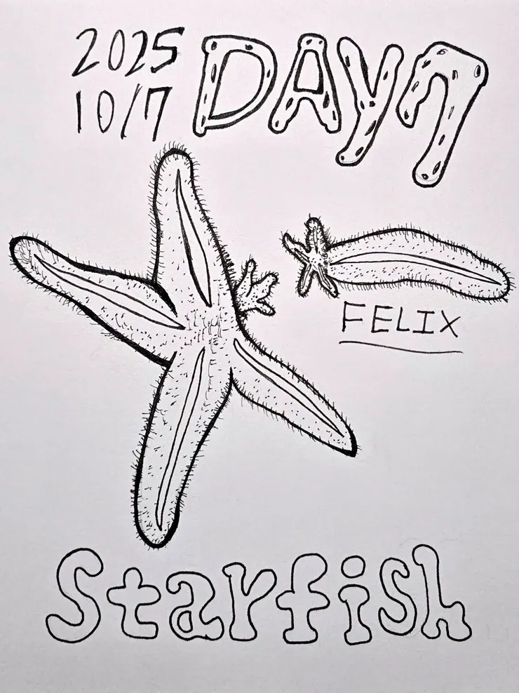 Starfish(海星、也可以是星際飛魚)