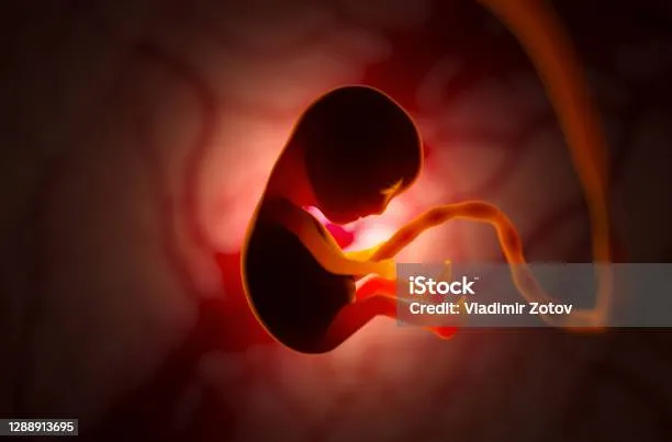 圖片來源：istock