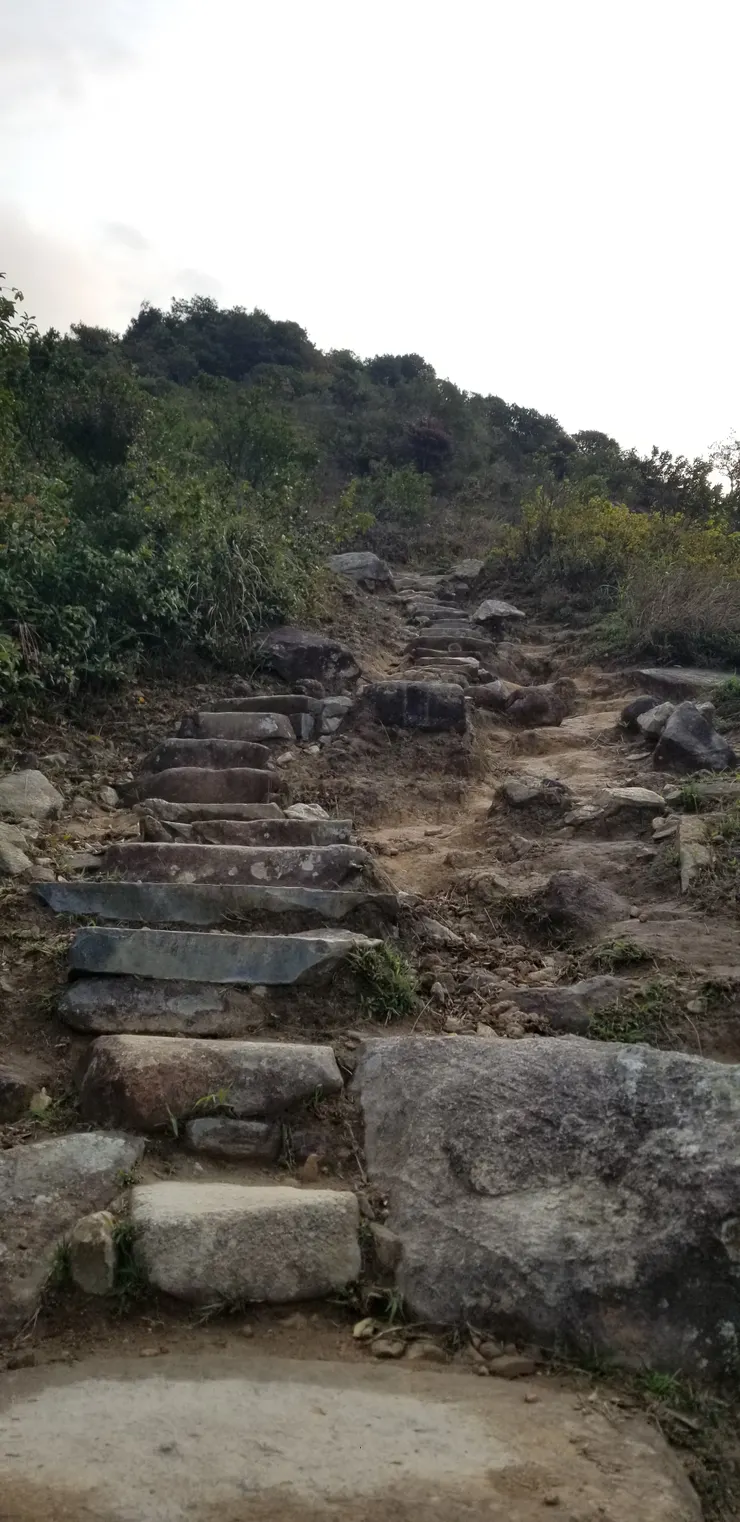 看起來很絕望的階梯