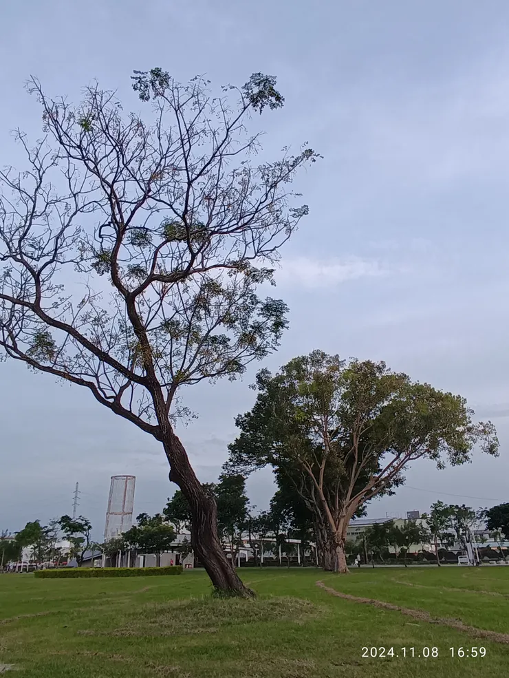 屏市的公園，自拍攝