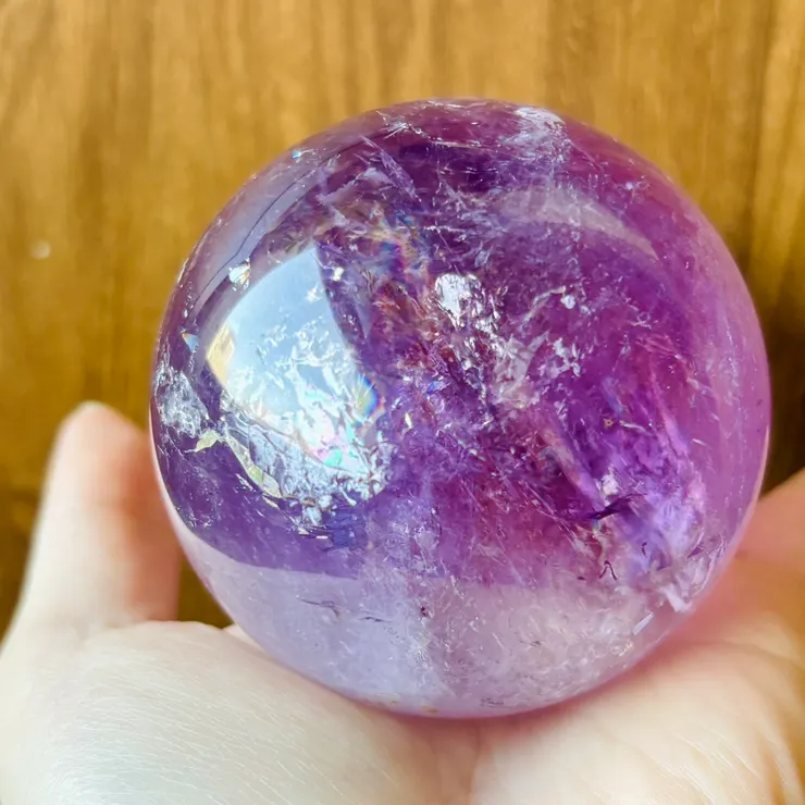 洗完澡亮晶晶的夥伴！