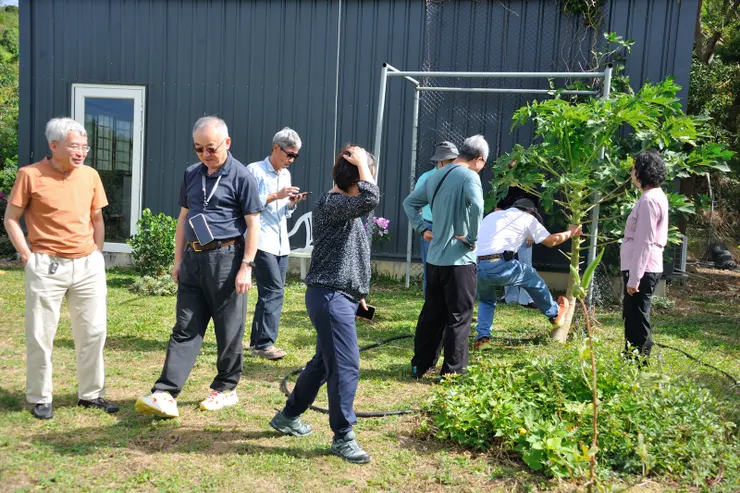 【年少買地建志甫造成靜好退休宅！在繪畫工作室前，農家出身的YY正在示範如何讓木瓜結實纍纍─秘訣是想到就踹它兩下...是生於憂患的概念嗎？呵呵！右下角種了一小畦白玉蘿蔔。】