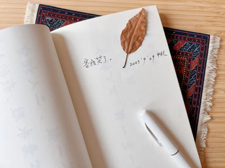 我記下來了，真的害我笑了呀。（豬，剛剛忘記放了）