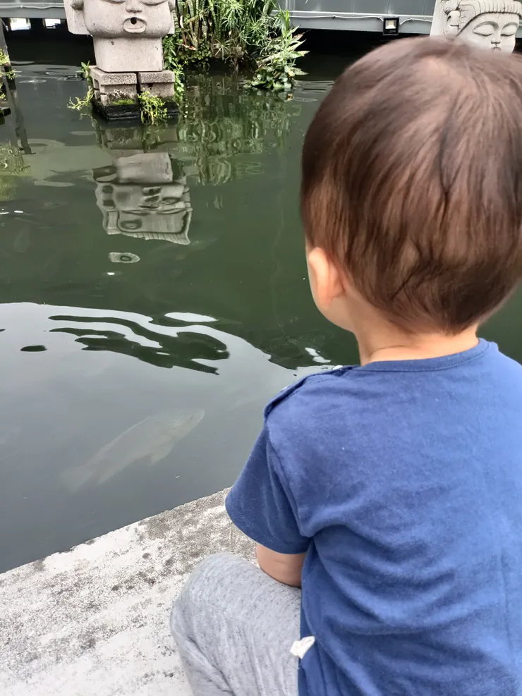 水中除了魚，倒影對007也是很奇特的玩意