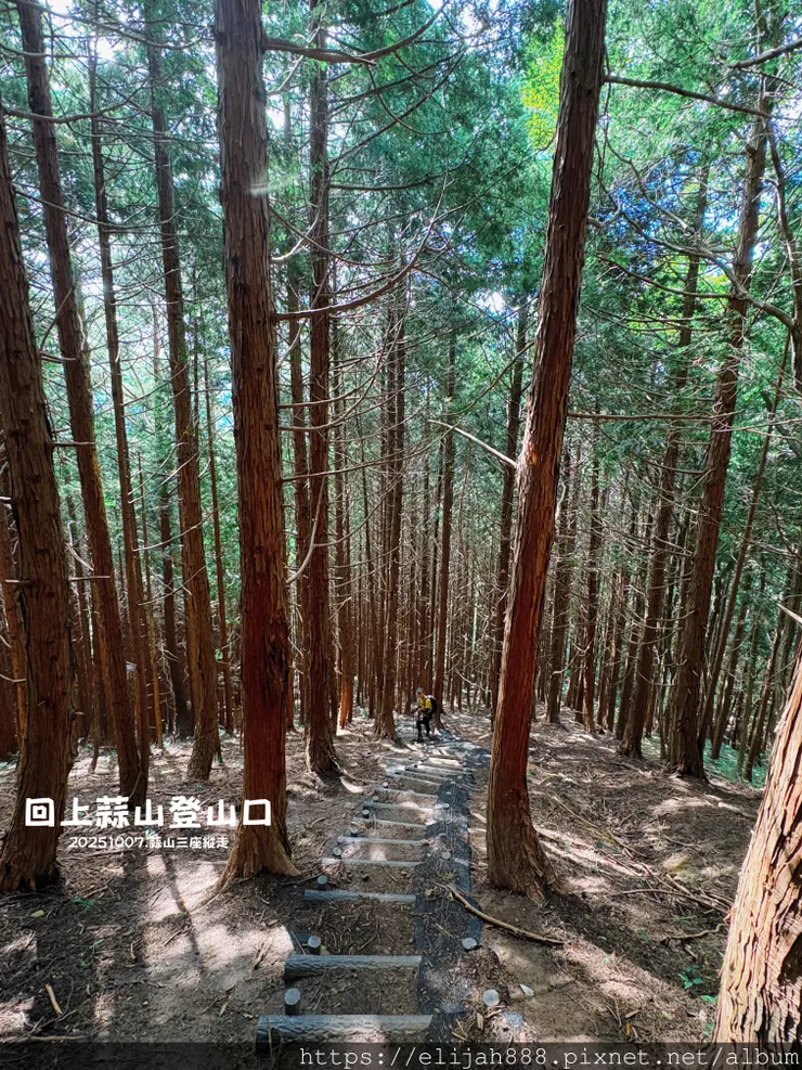 【2025初秋.岡山県真庭市】蒜山三座縱走/下蒜山(海拔11