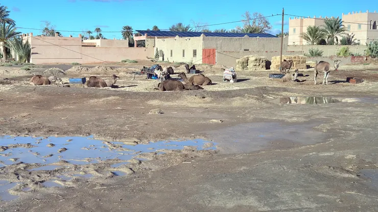 我們的飯店附近，積水大車進入不容易，大行李也難運送。