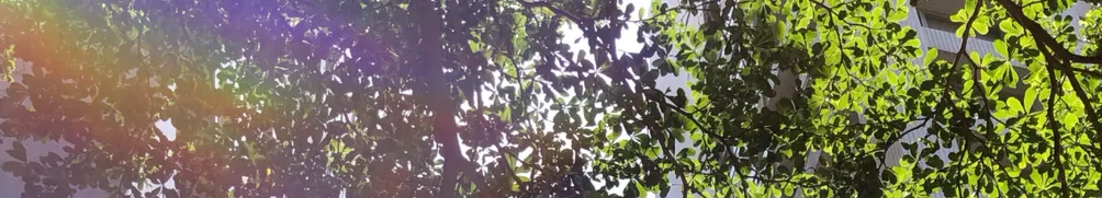 推車新手駕駛中