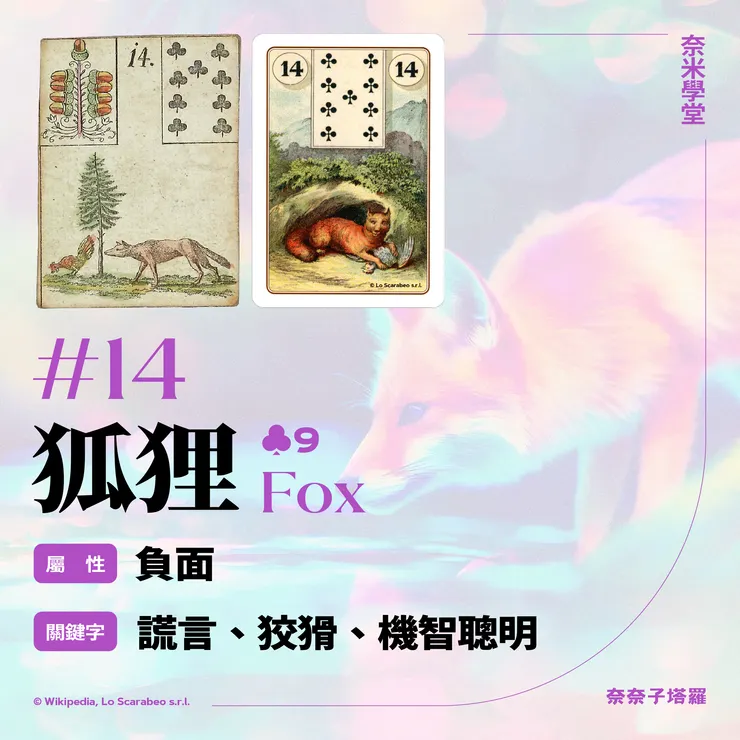 #14-狐狸
