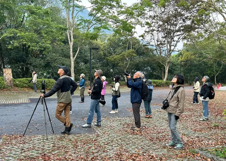 圖15 早起的鳥友有鳥拍