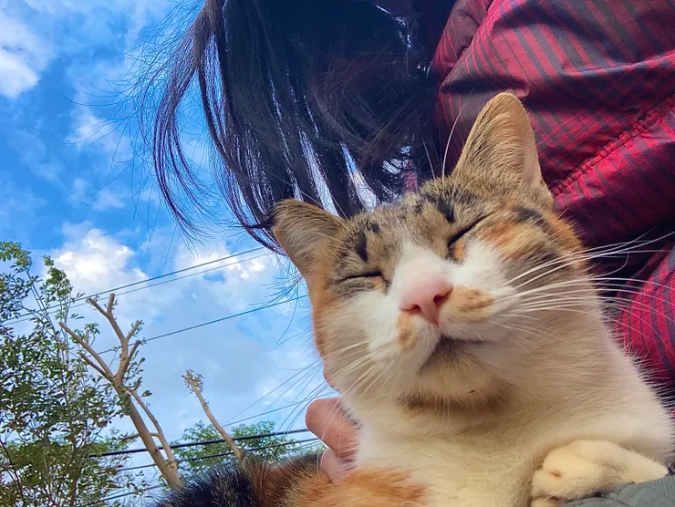 小三花與我一起享受陽光中。