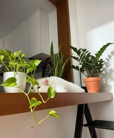 多給自己一點時間