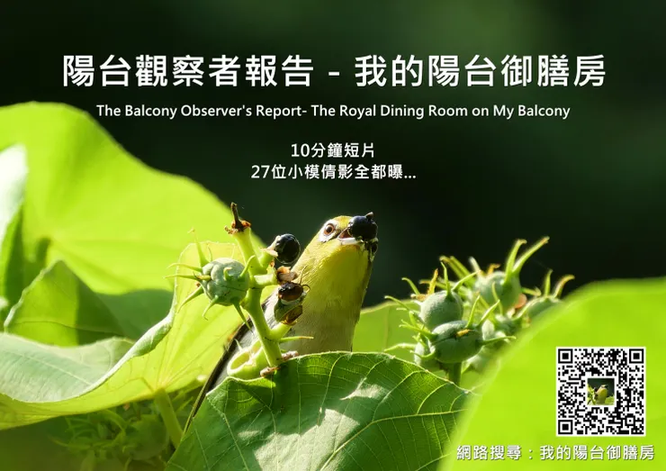 海報:陽台觀察者報告-我的陽台御膳房