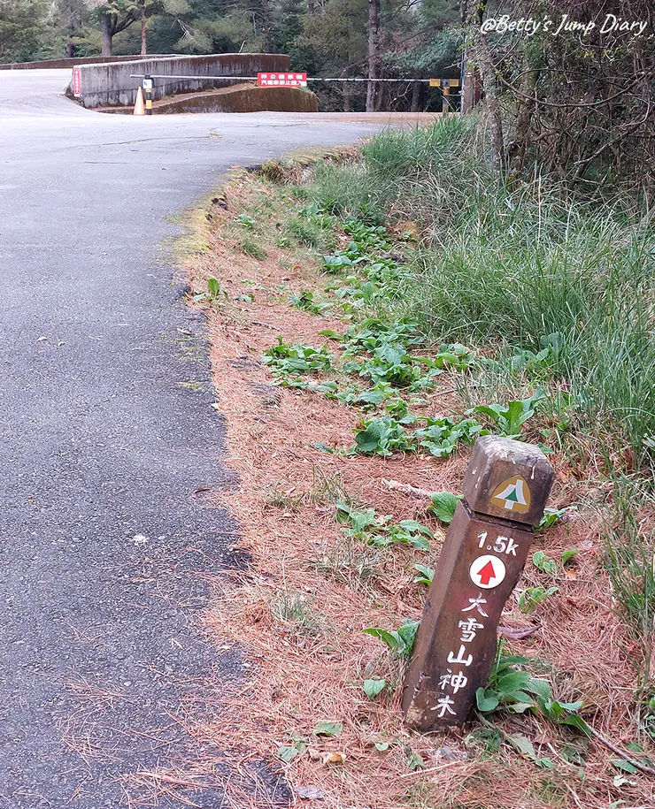 ▲台中「大雪山國家森林遊樂區」/圖片來源：Betty's Jump Diary