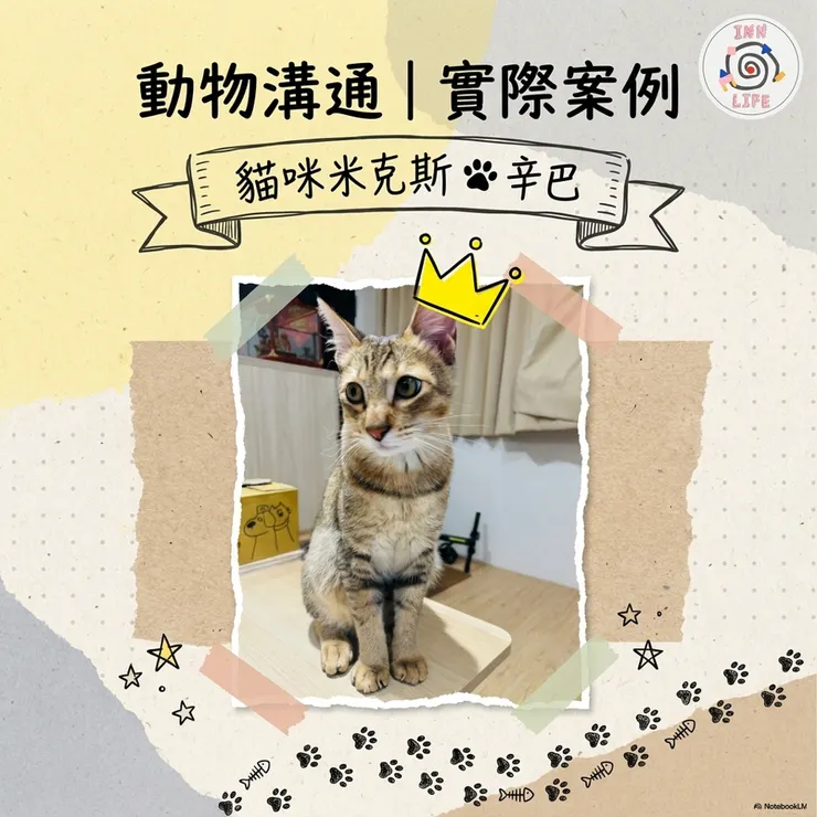 辛巴 (照片由飼主提供)