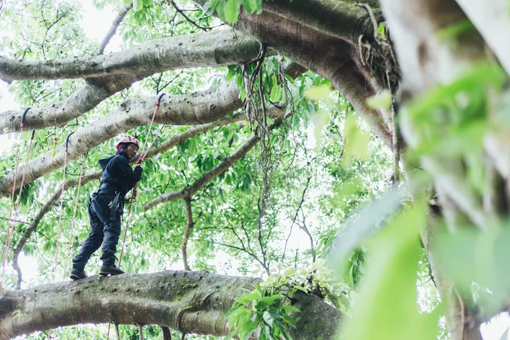 「在花蓮•找回看不見自己的自己」系列之一