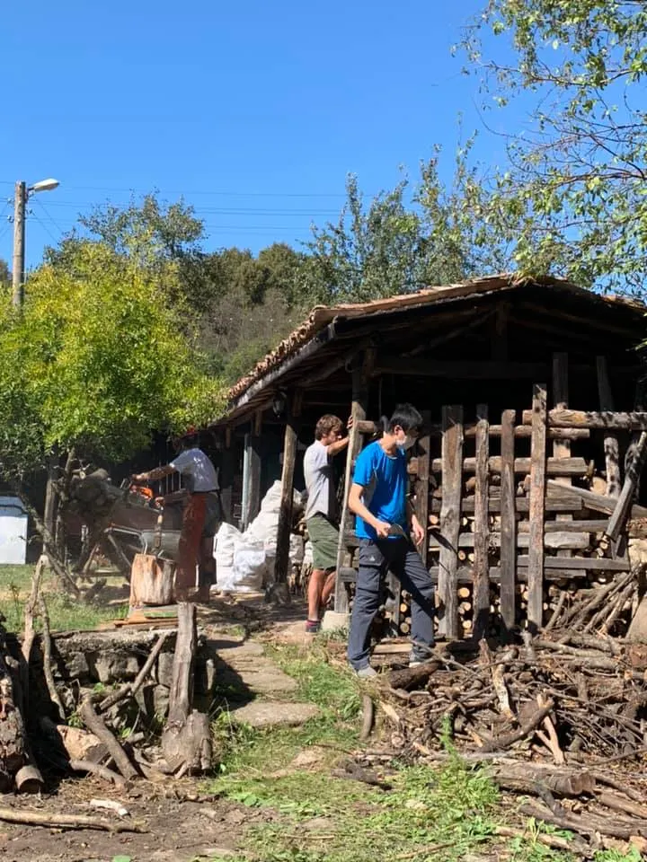 準備過冬用的木柴