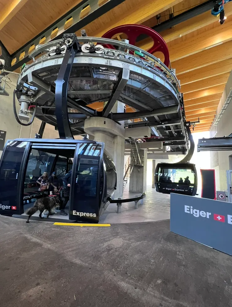 搭乘艾格快線纜車，連狗狗也可以上車喔