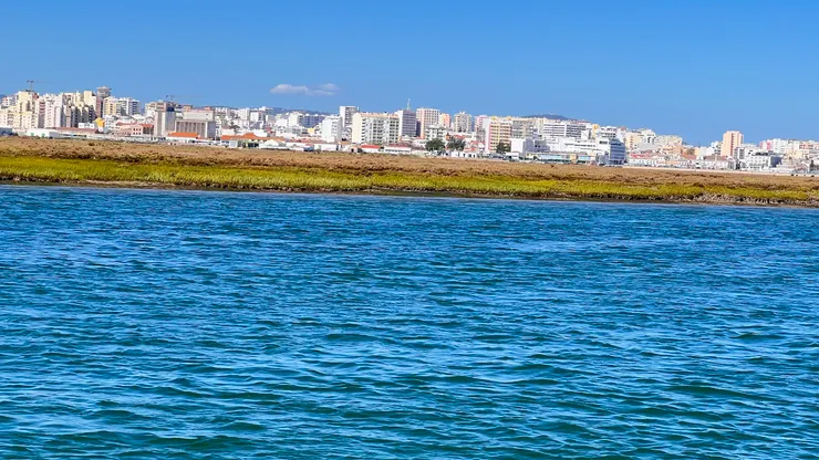 新城區高樓林立