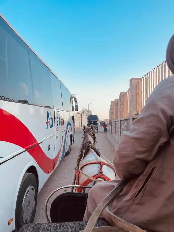 馬車比遊覽車輕便多了
