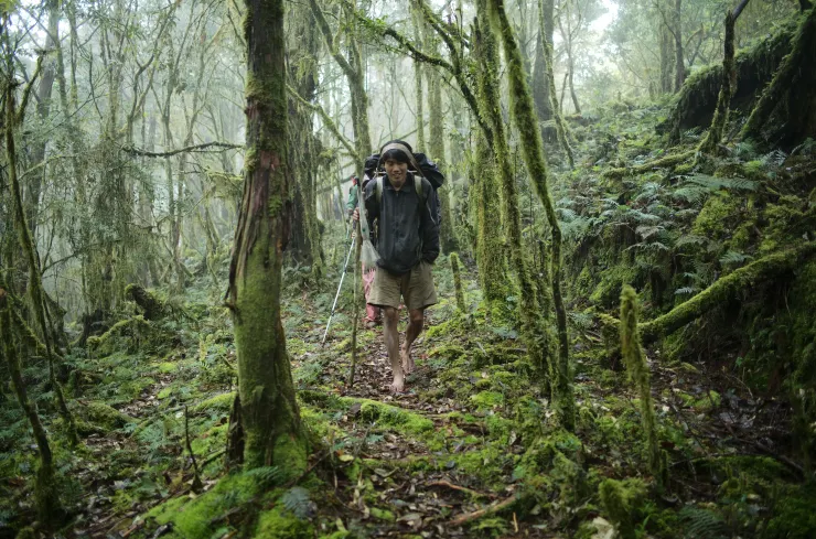 關門古道上的楊理博