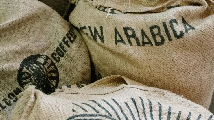 新鮮、保存完善的咖啡生豆，才是好喝咖啡的關鍵