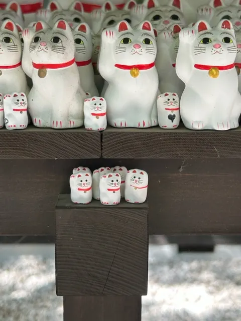 小貓跟大貓的表情差的有點多（笑）