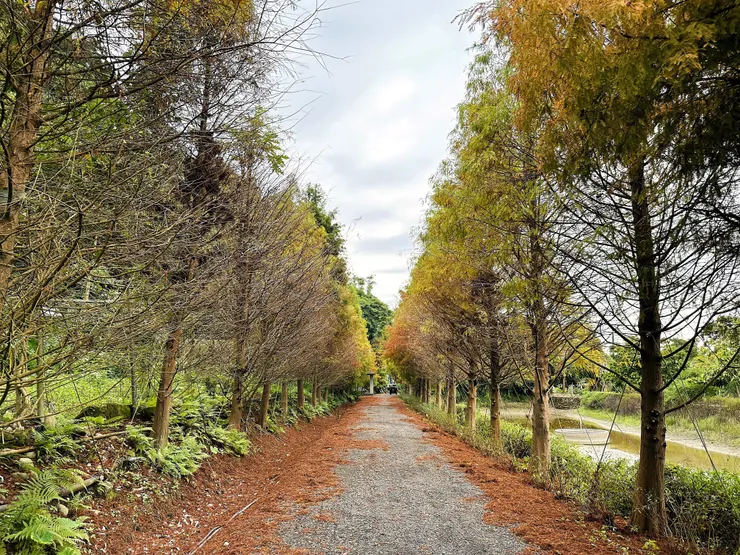【鳶山紅樓】新北三峽景觀餐廳推薦！精緻創意無菜單料理套餐，絕
