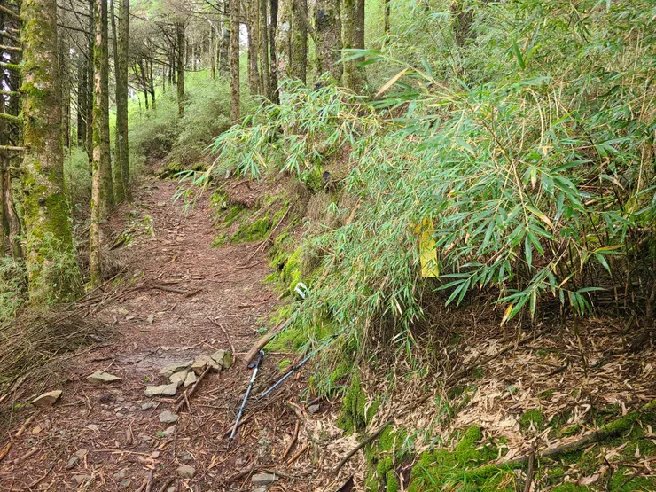 不續行，取右上切